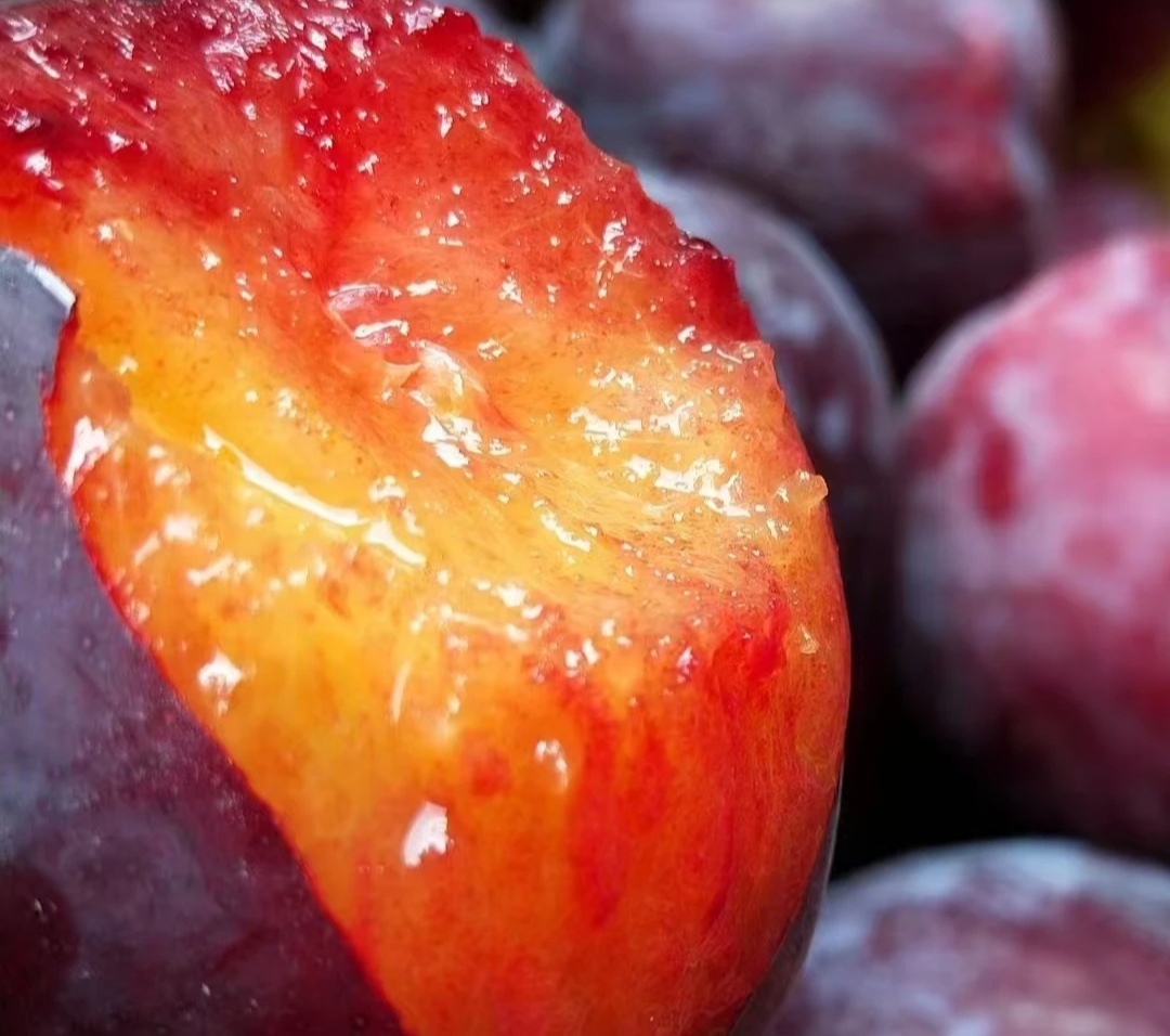 【京东-放软再吃-堪比蜂糖李TT】四川大凉山红宝石新鲜现摘水果李子