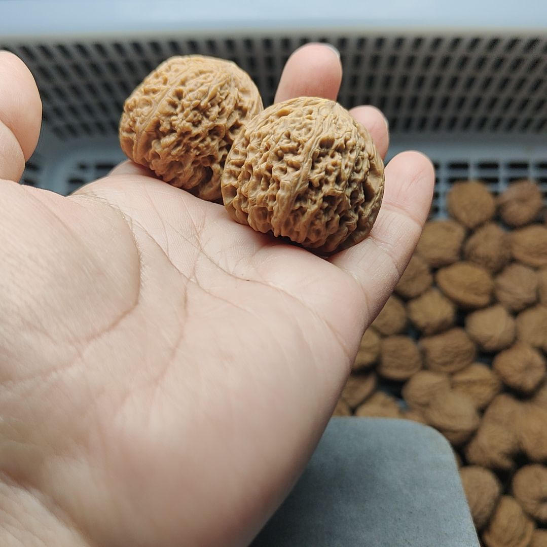 蛋***肉南疆石狮子头一物一图