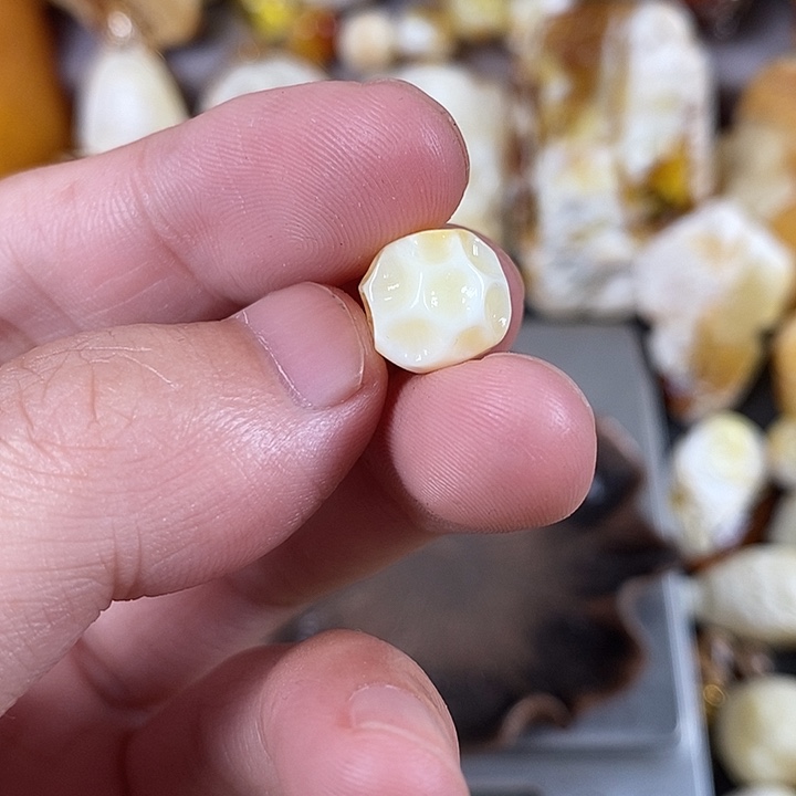 琥珀未镶嵌裸石我