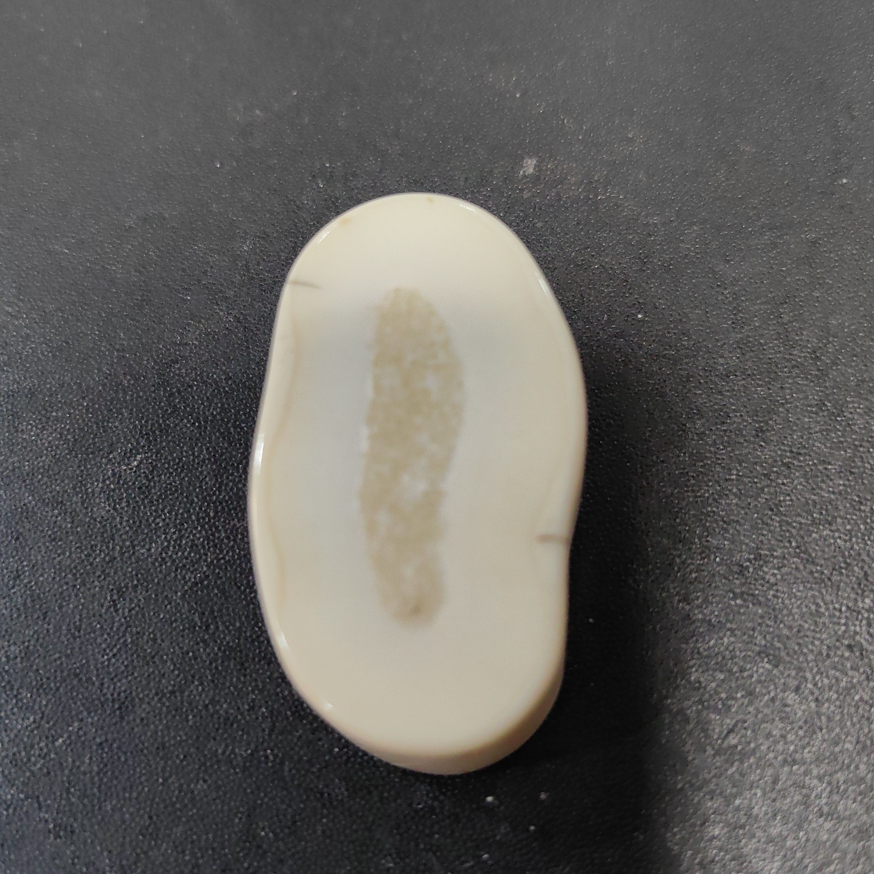 猛犸秋猛犸饼子GG408