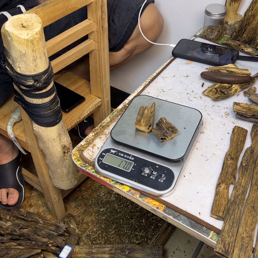 线香奇楠虫漏香17克