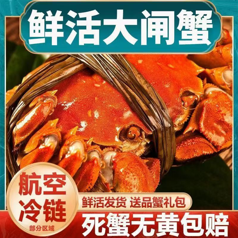 全公蟹【活蟹】江苏大闸蟹（4-3.7两/只）8/10只装空运冷链包邮