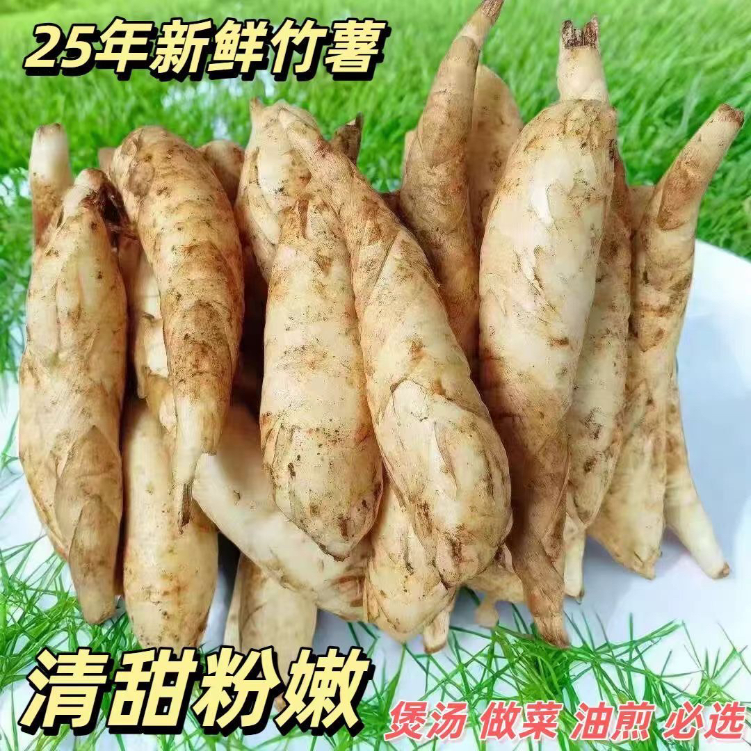 爆款当季新鲜现挖竹薯冬薯可煲汤煎煮的优质食材送蘸料
