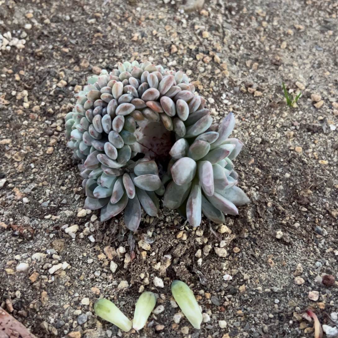 毛***姐b065的人的的的的