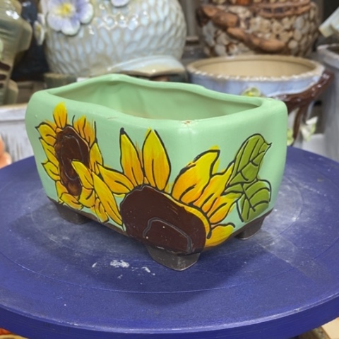 【闪购商品】红陶1