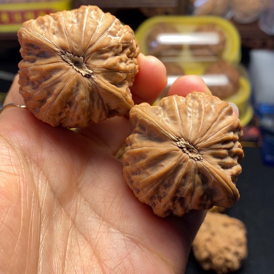 闪***蹄把件桃核铁锤没有质量问题不退不换