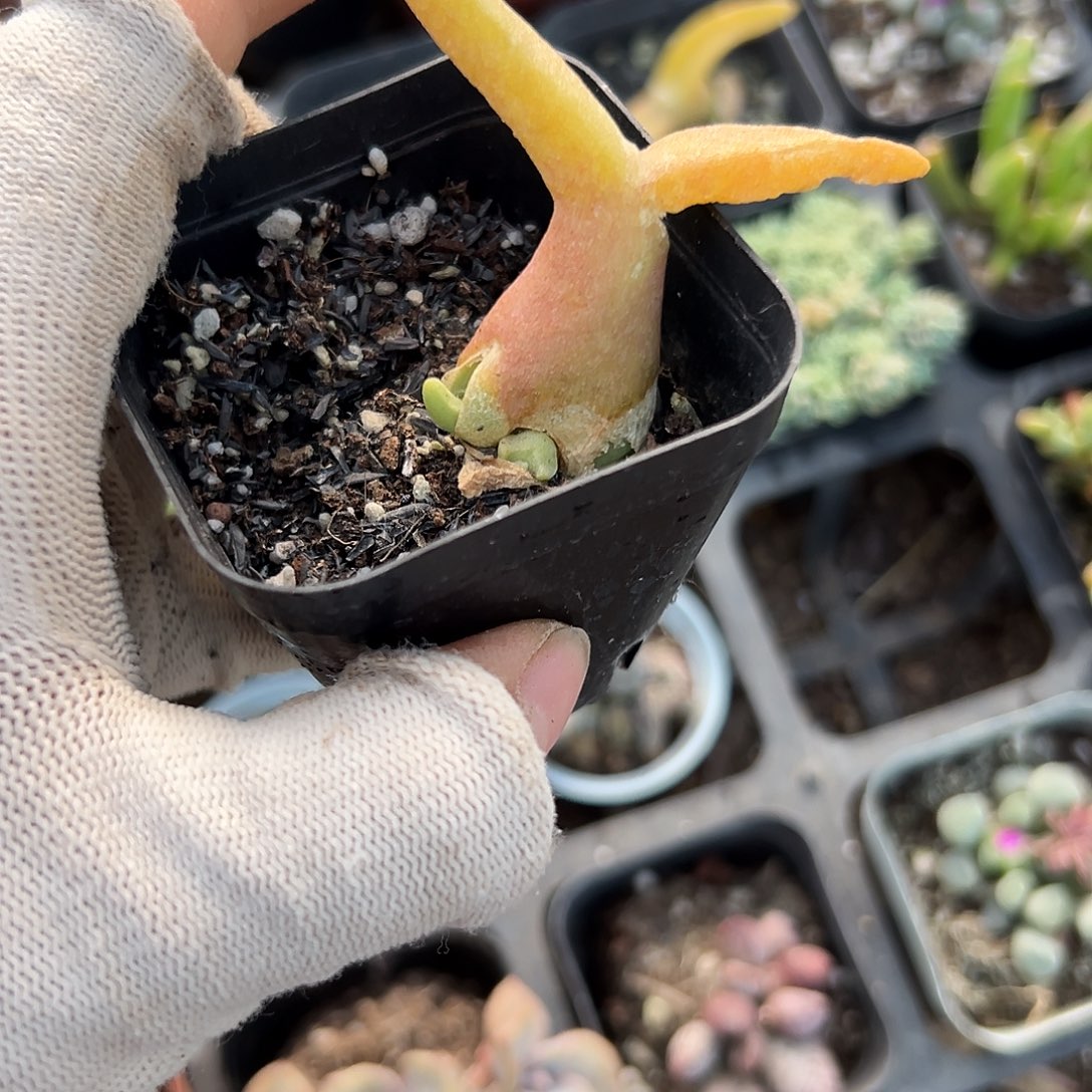 哦哦我哦哦哦摸摸摸摸