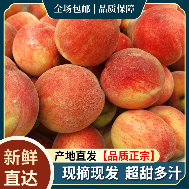 水蜜桃新鲜现摘现发树上成熟脆甜桃