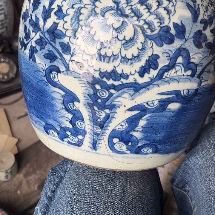 核桃木/黑胡桃（胡桃木）学*