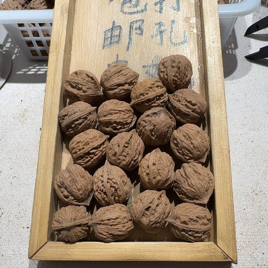 核桃手串/手链18号边23手持