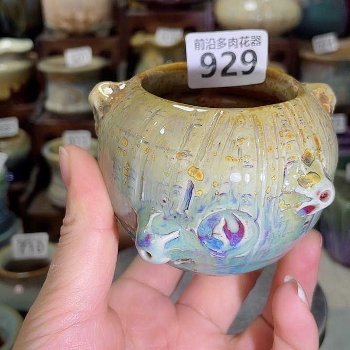 狼盆内口径5高度6