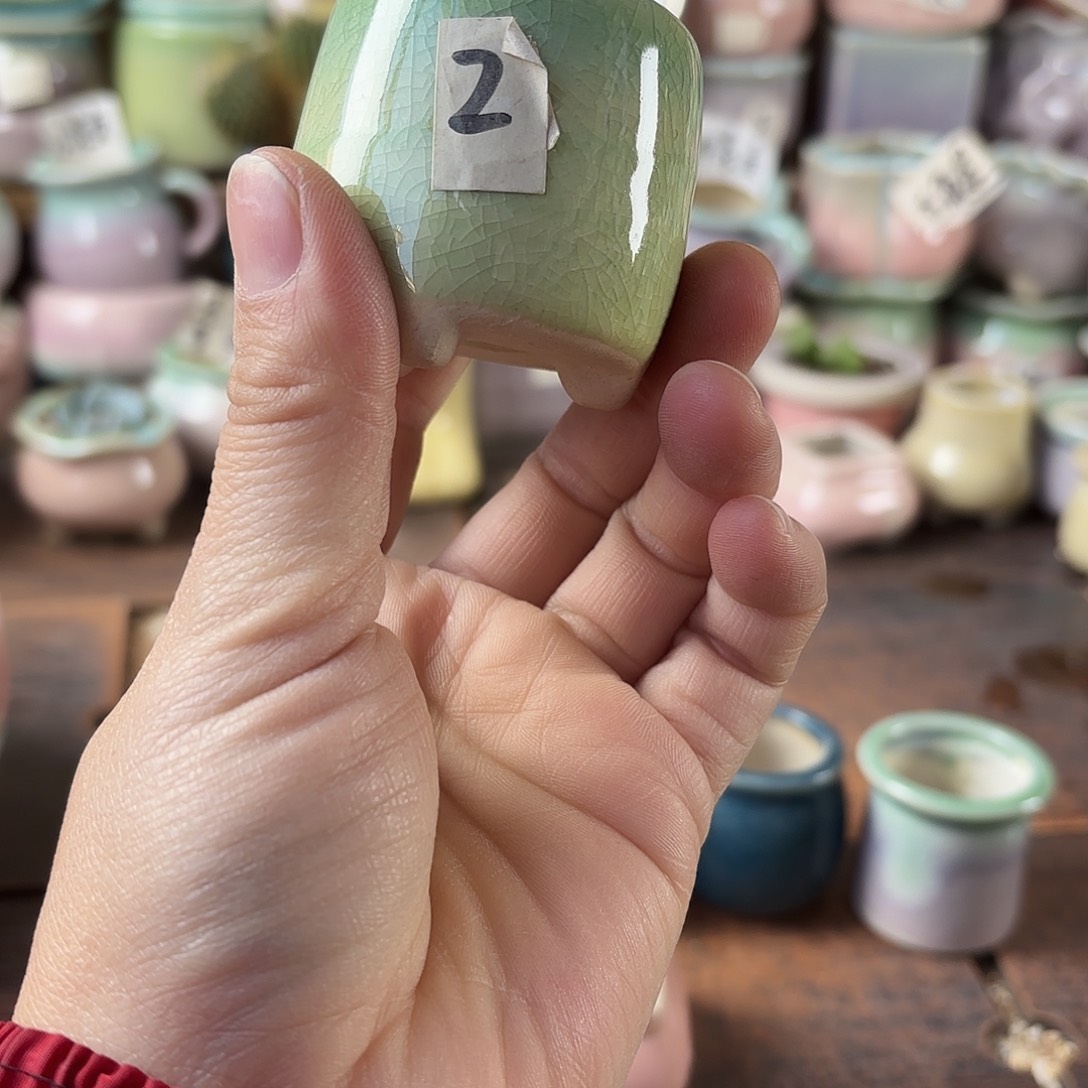 量货/3口高深浅搭配发6