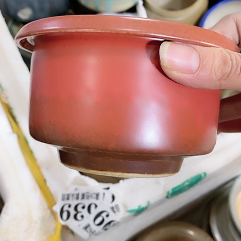 【闪购商品】红陶口10.5