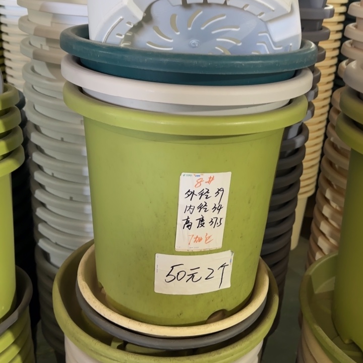 微瑕8#口径39无托果绿5个