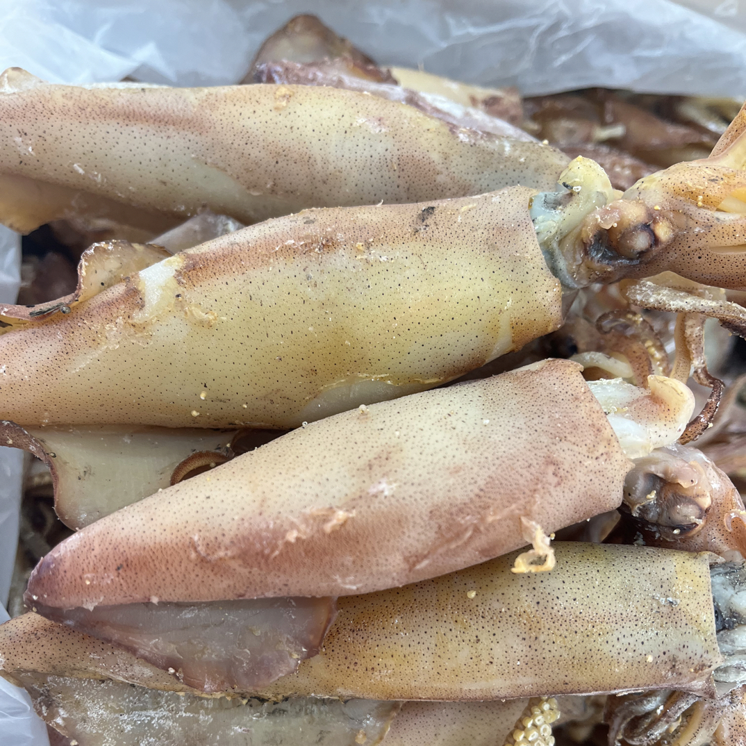 新鲜精品大号海兔干 乌贼笔管鱼干乌