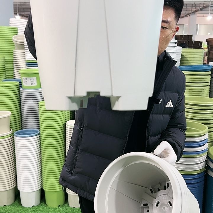 清仓青山口32高28灰白色5只无托