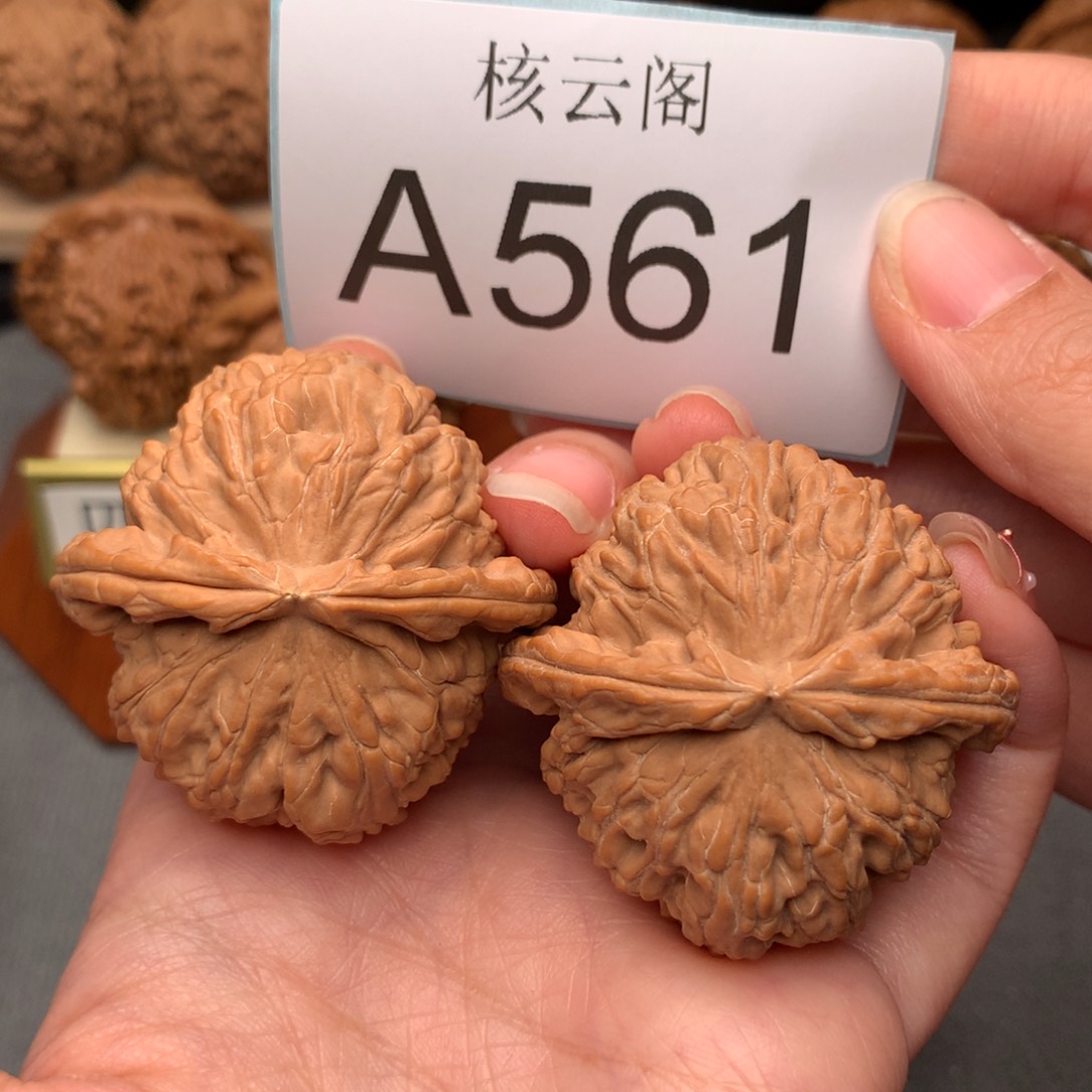 文玩核桃把件43.5全品白狮子