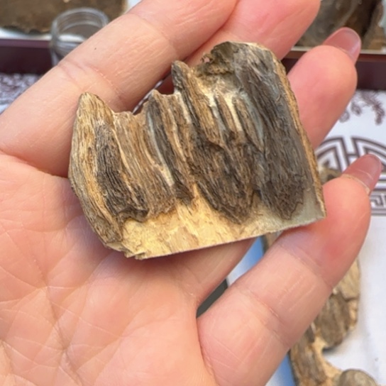 沉香摆件深*海南野生虎斑棋2.9克