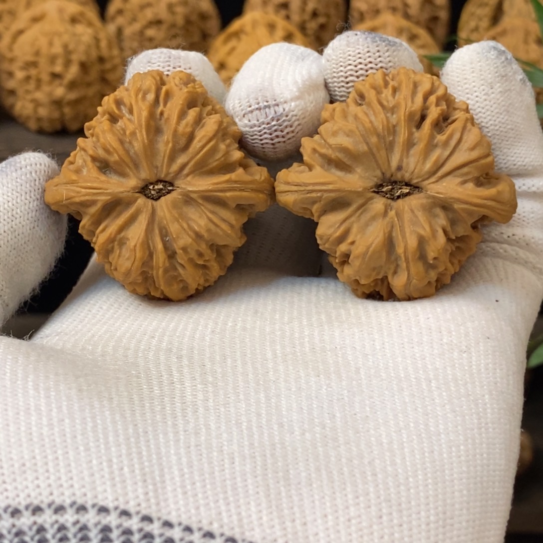 秋****文玩核桃把件南疆石文玩核桃40