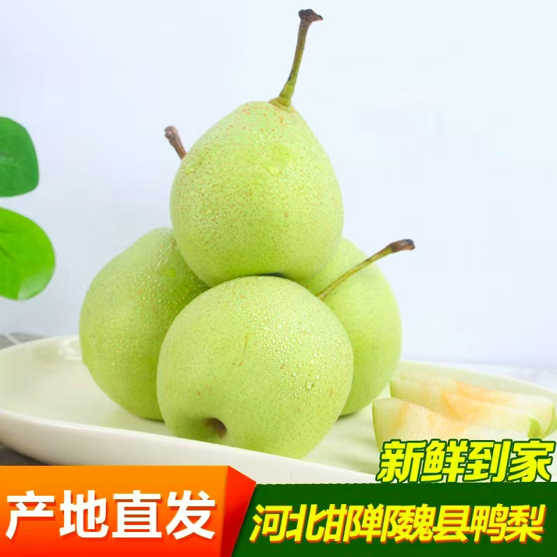 青皮鸭梨魏县鸭梨酸甜多汁现摘新梨酥脆多汁脆甜爽口解渴
