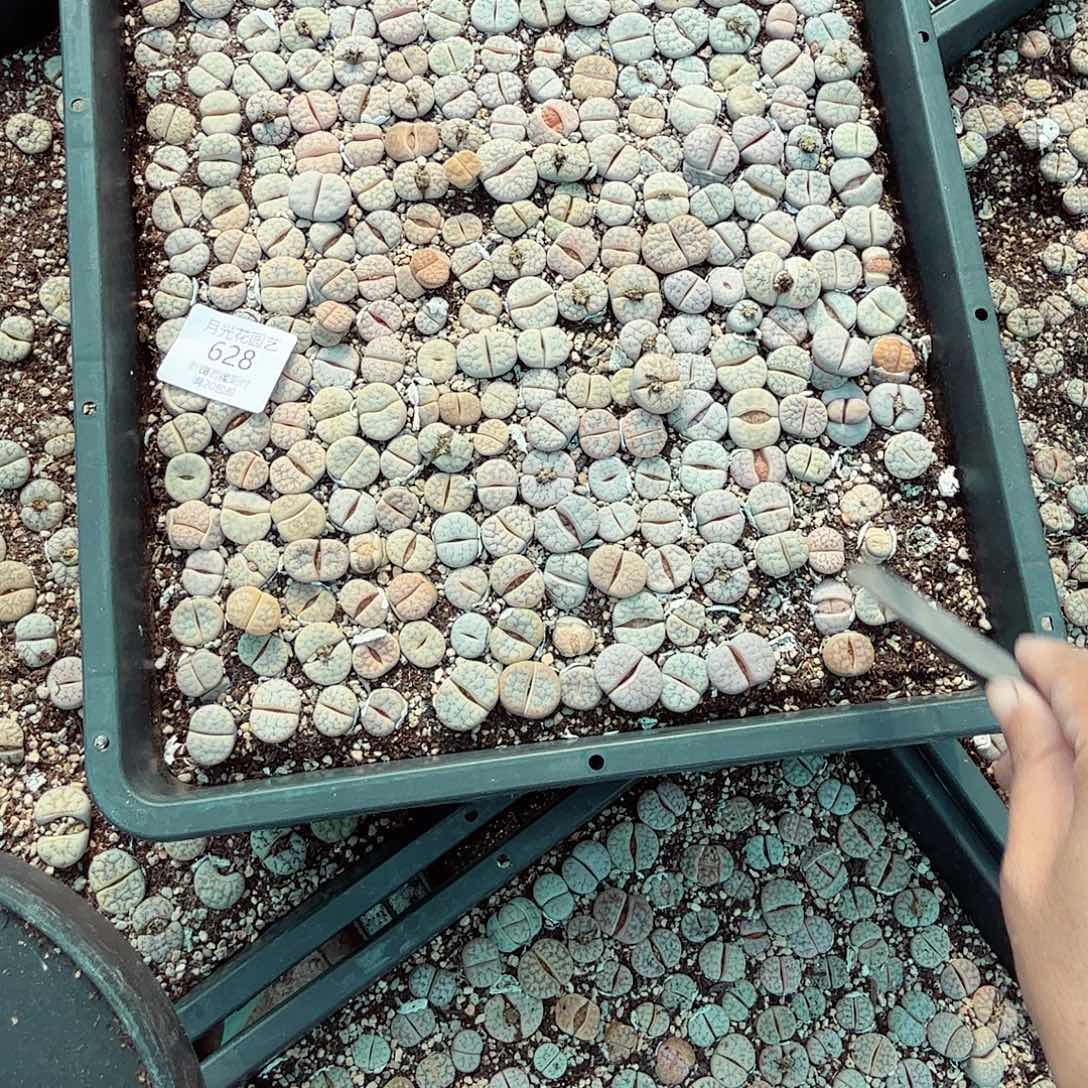 森****不能给她任何希望我就这样628哈哈