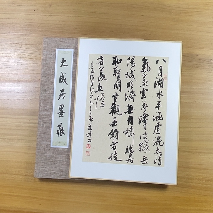 书法中书协会员作品