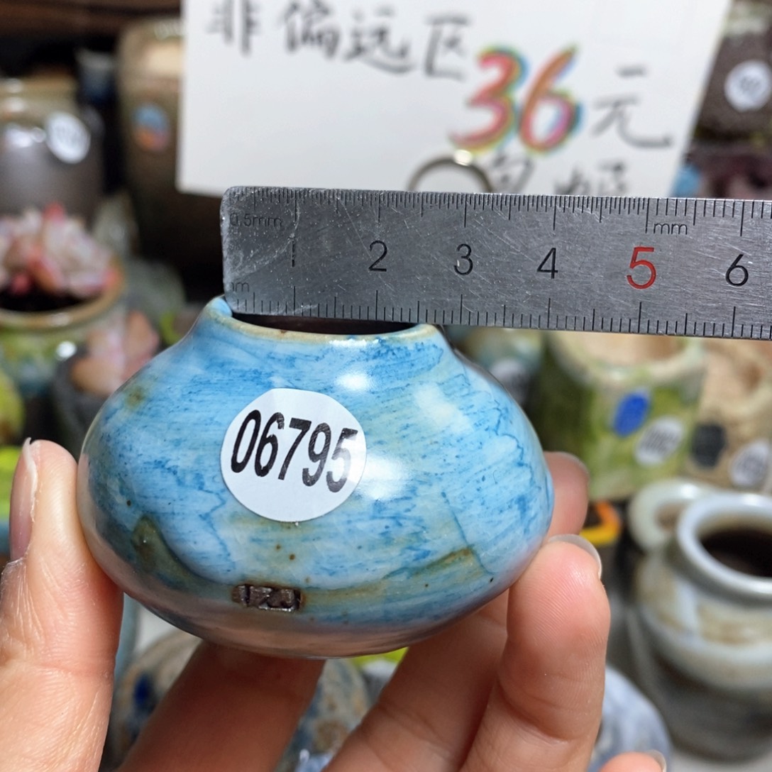 花盆拍5送一个小礼物