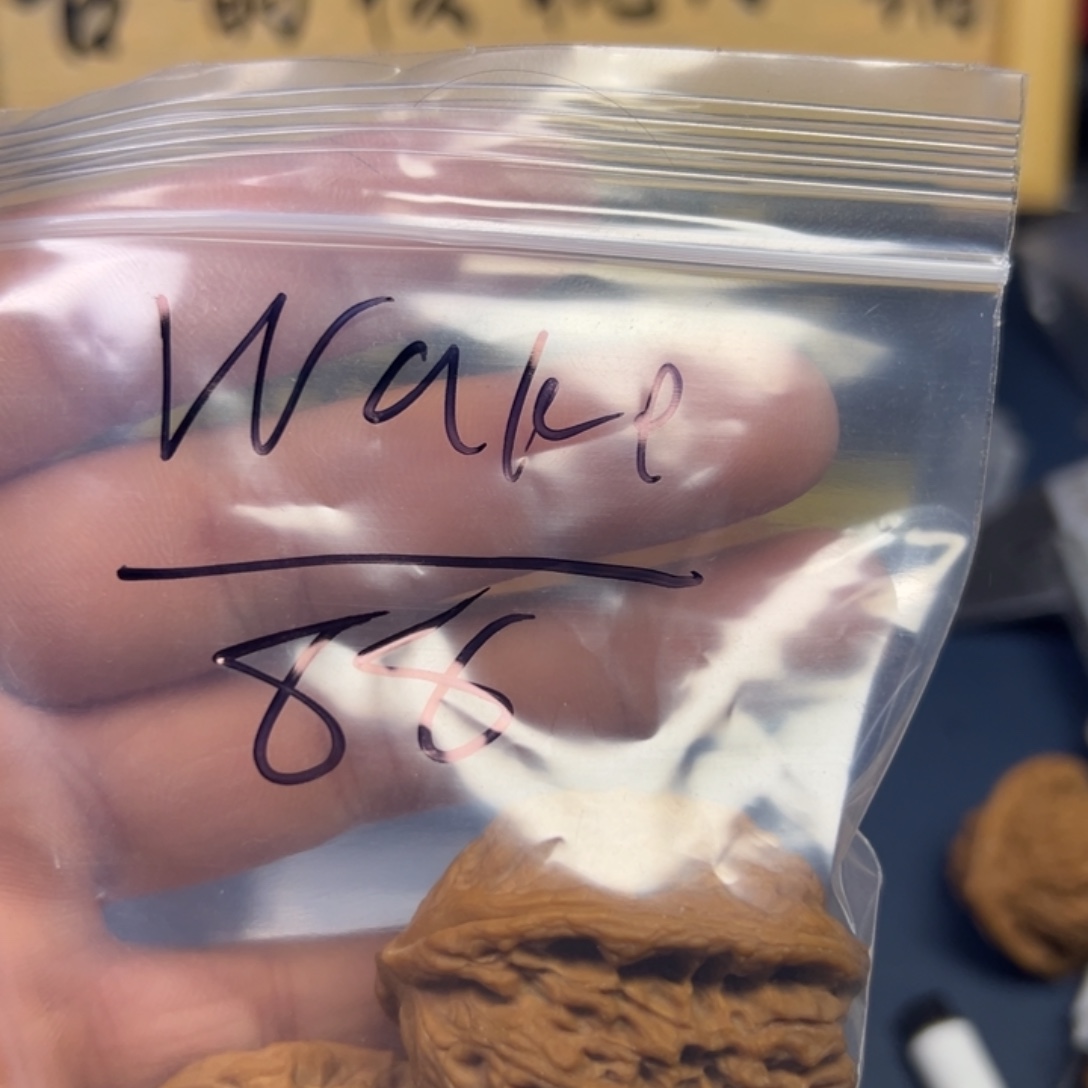 W***e文玩核桃吊坠哈哈哈哈哈哈哈哈哈哈哈