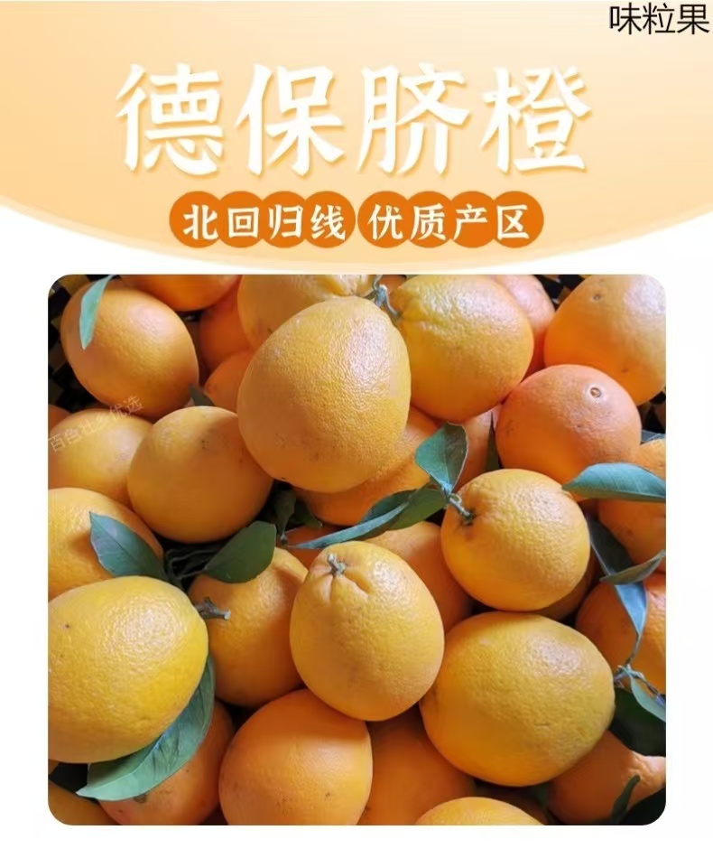 【顺丰包邮】广西德保脐橙新鲜现在现发当季水果香甜多汁皮薄5斤9斤
