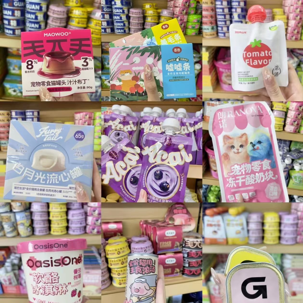 美美专属猫咪品牌【餐包】大合集（以直播间展示为准）