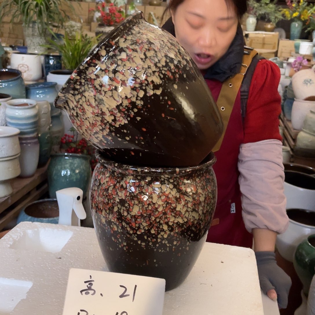 红陶高度21口径19