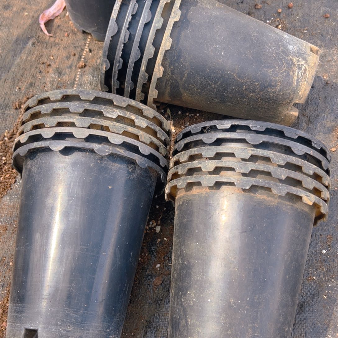 塑料兰花万象花边盆17.5口径19高 5个 