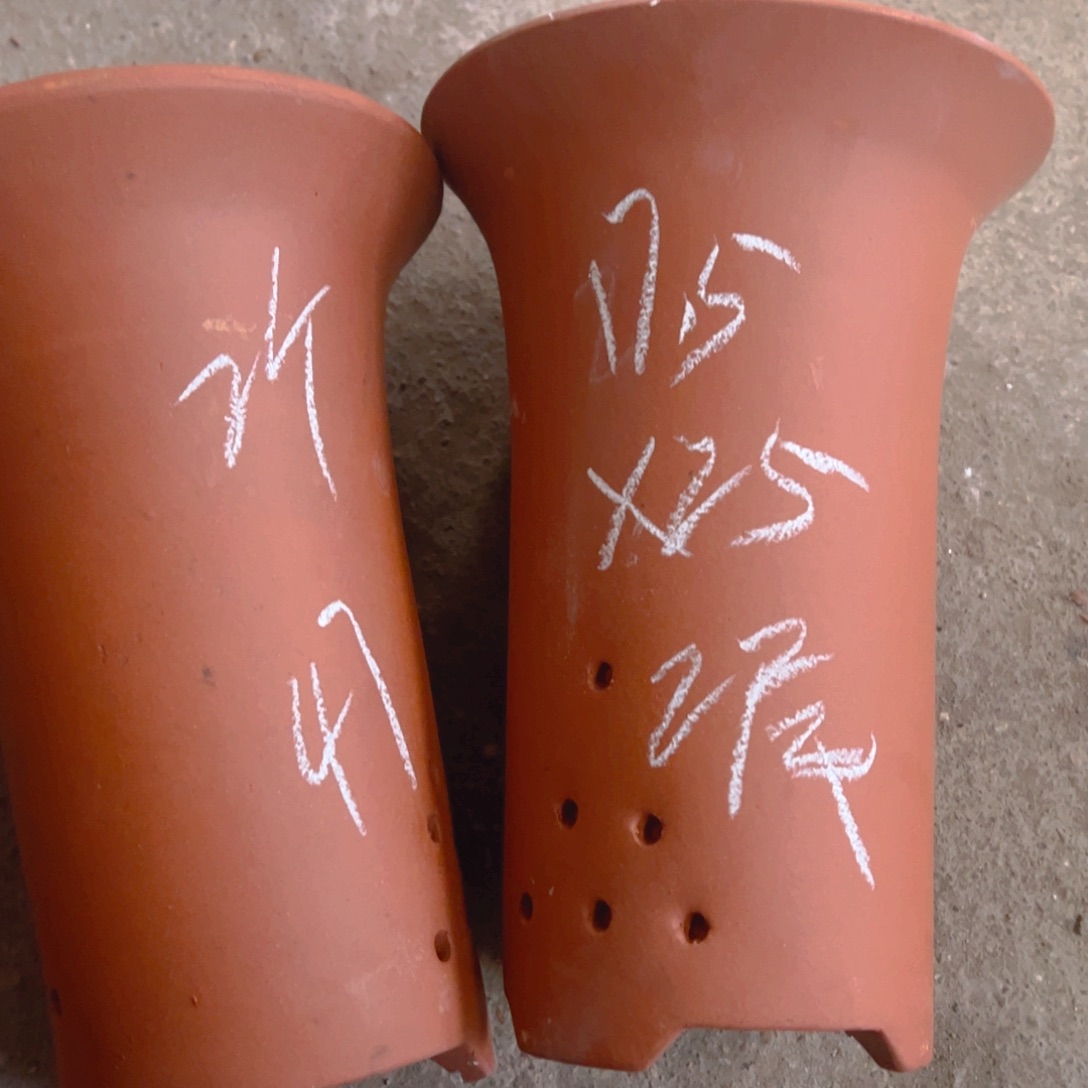 紫砂47……………………………………