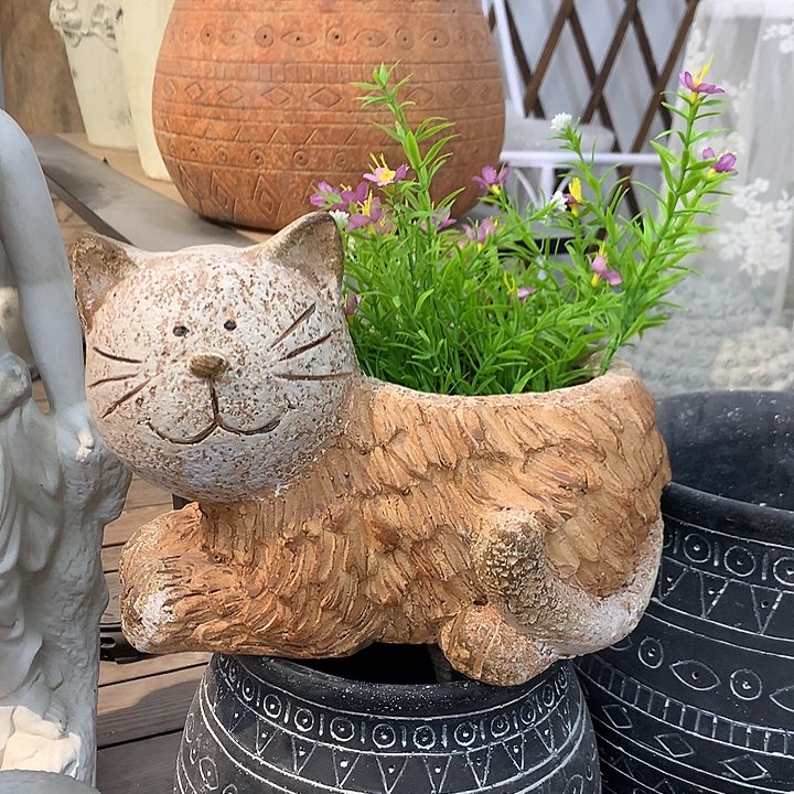 红陶高20长26口12.5