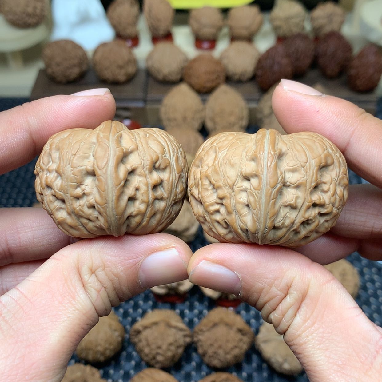【闪购商品】文玩核桃把件全品平谷元宝狮子头45文玩核桃