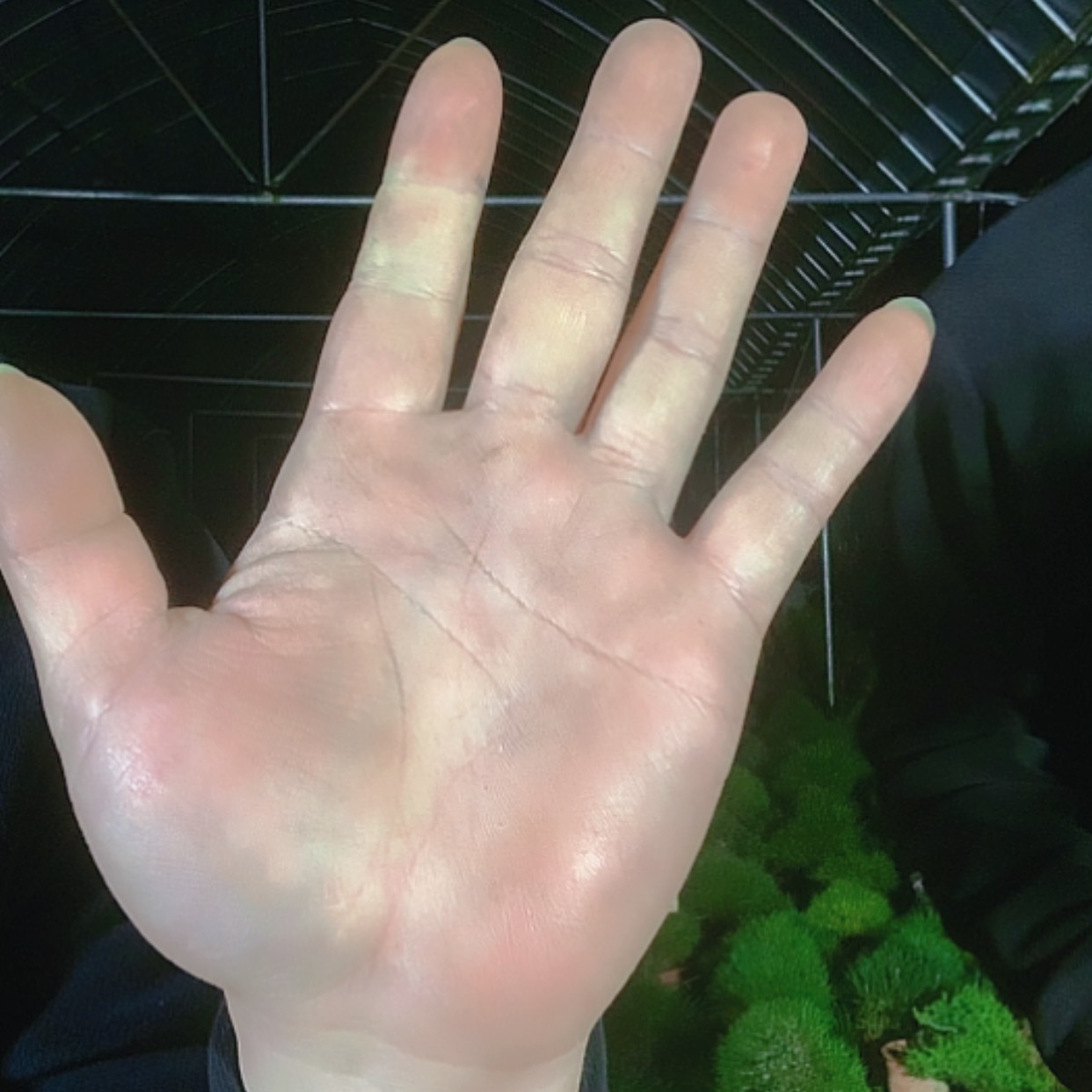 【闪购商品】无花朵全*范