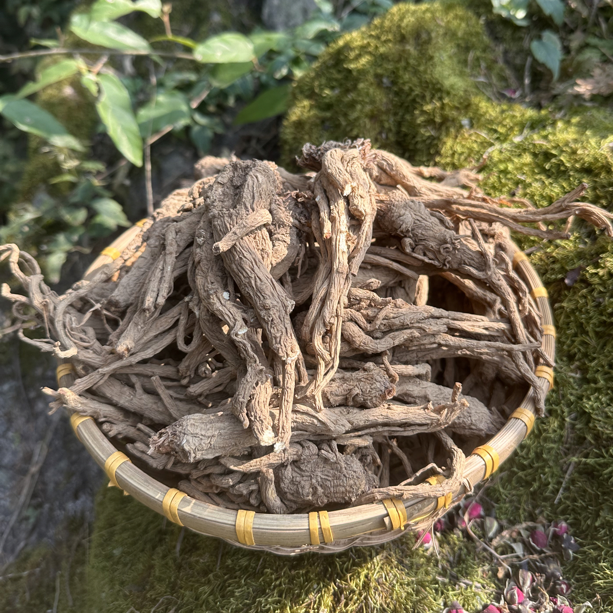 贵州特产山货当归干货500克无硫
