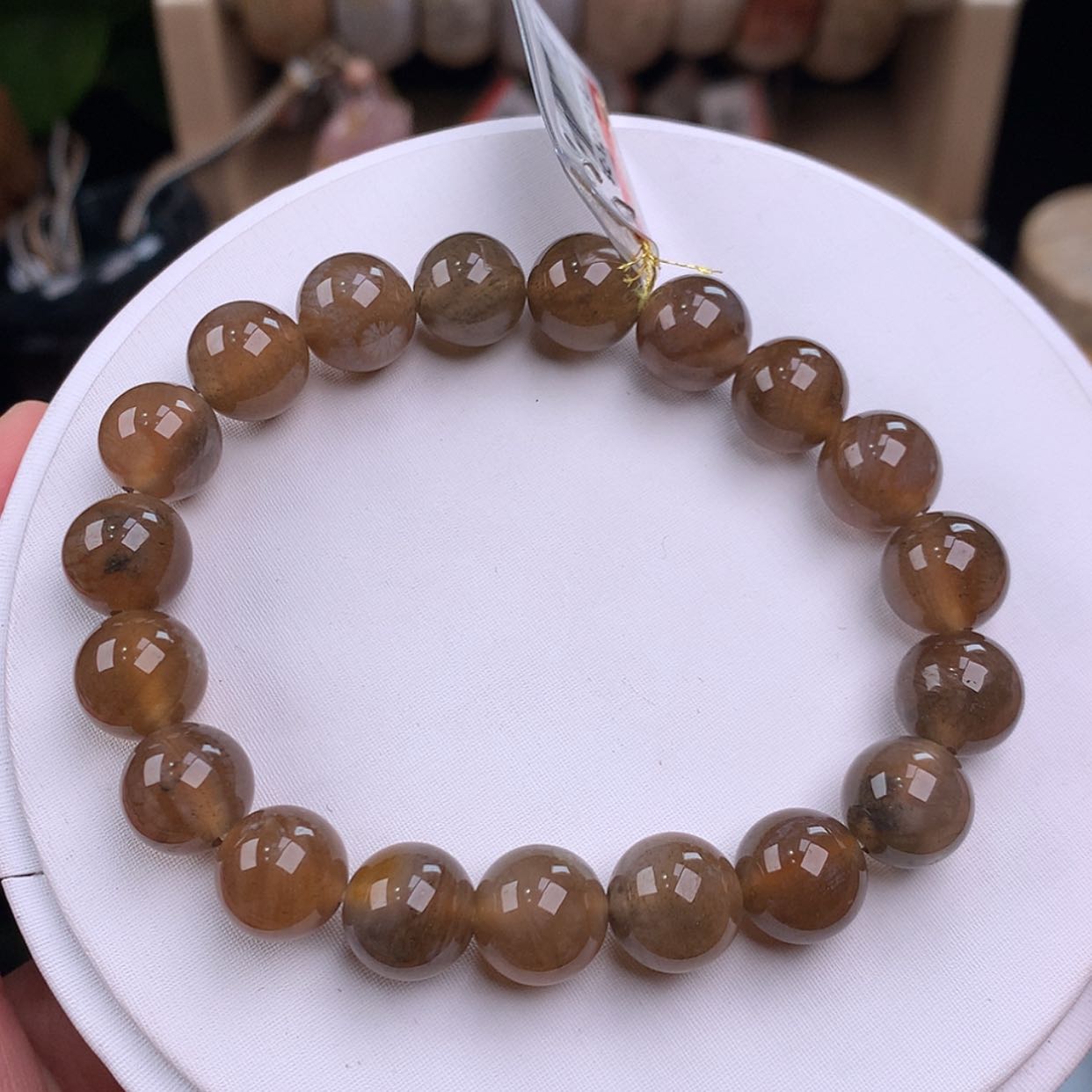 【闪购商品】硅化珊瑚（珊瑚玉）手镯未镶嵌10咪+