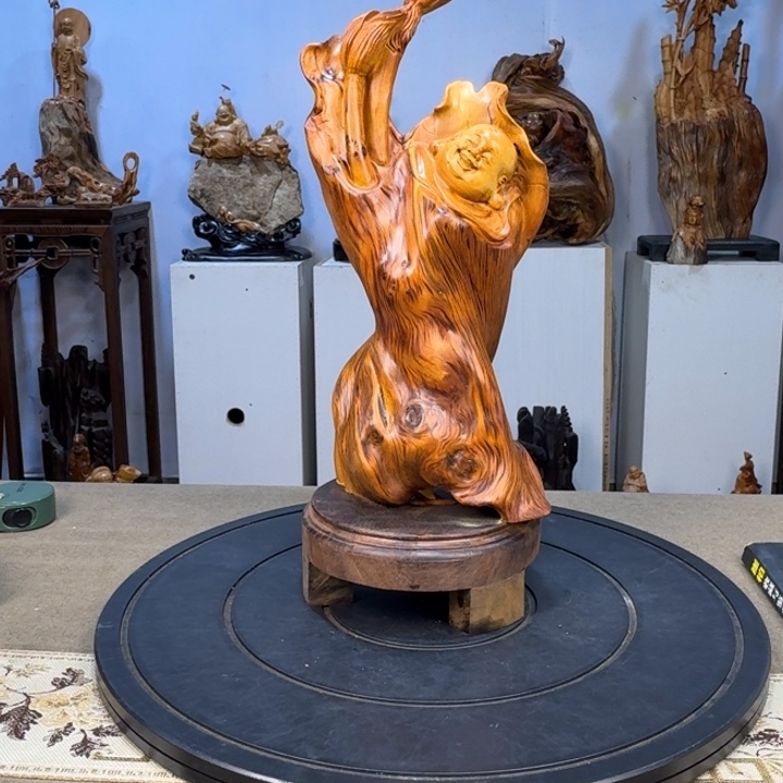 半***心柏木（崖柏）太行崖柏