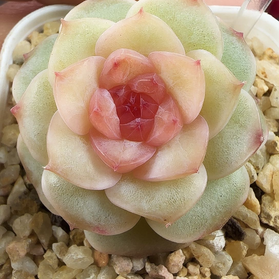 566号哈哈哈哈哈哈