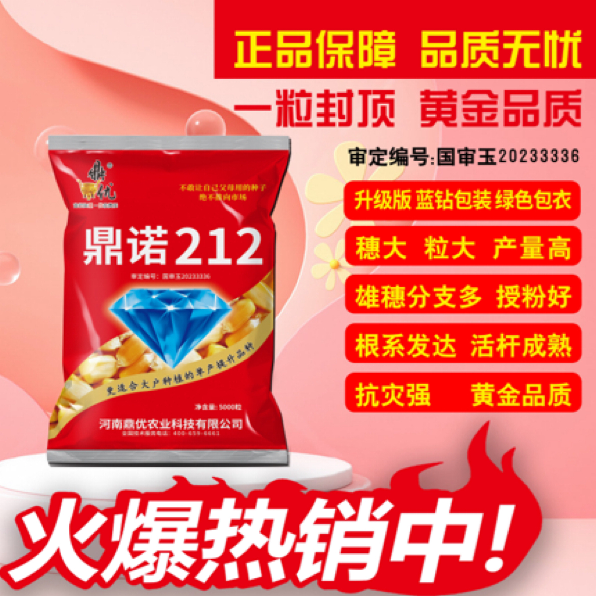 鼎诺212密植矮杆高产抗锈大名牌玉米种子