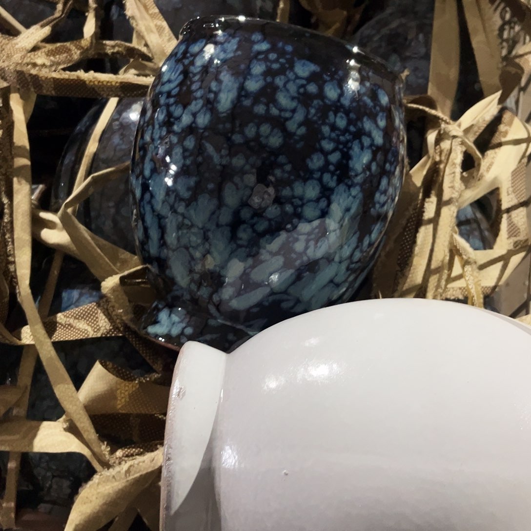 紫砂花盆里的小猫咪