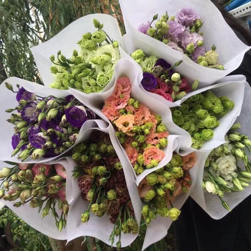 洋桔梗 云南鲜花速递 家庭婚庆水养插花 任意2单顺丰或德邦