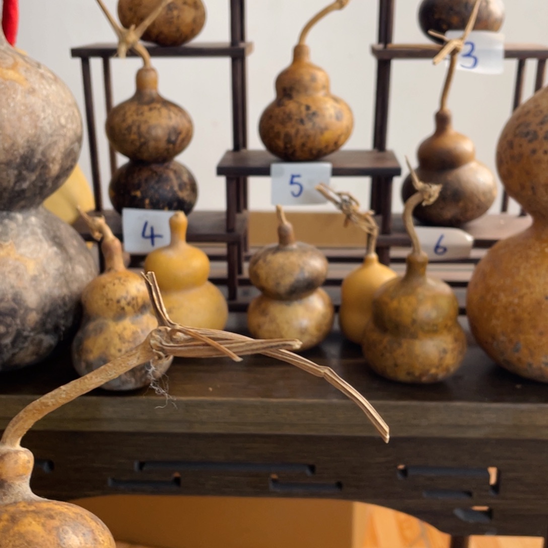 香榧木景****创葫芦葫芦