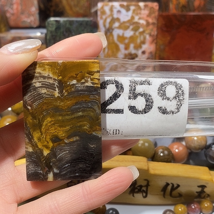 硅化玉未镶嵌天然北票树化玉吊坠