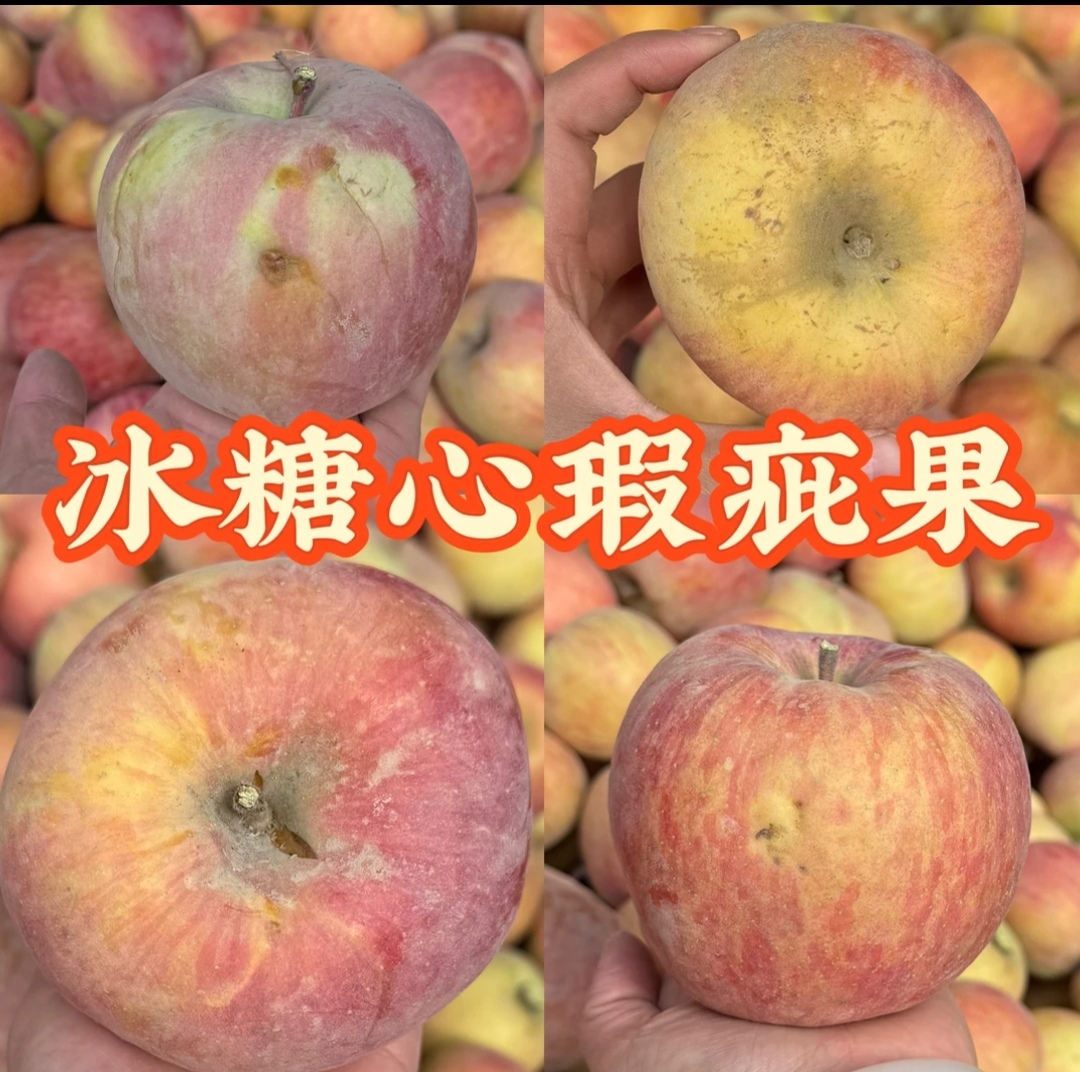 活动【每日10单裂口微瑕京东包邮苹果阿克苏冰糖心