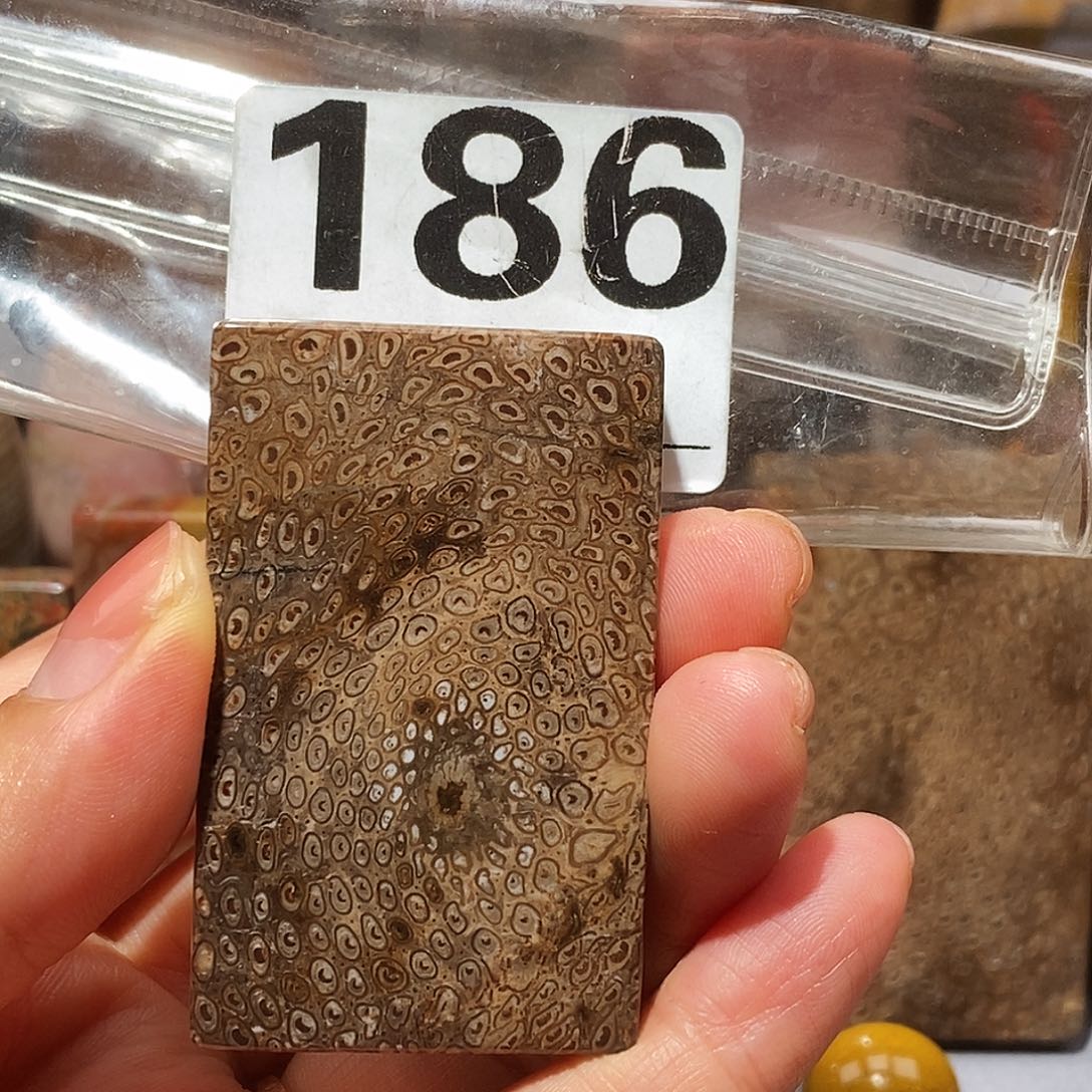 硅化玉天然北票硅化玉吊坠未镶嵌