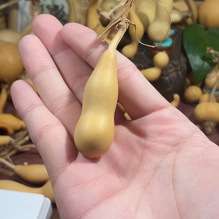 ****山，，，，，，，，，，，，，，，，，