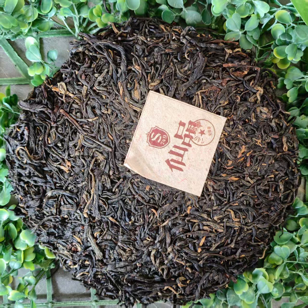 雨腾古茶 丹霞L金"全A"顶J金芽金骏眉300g/饼（9月23）