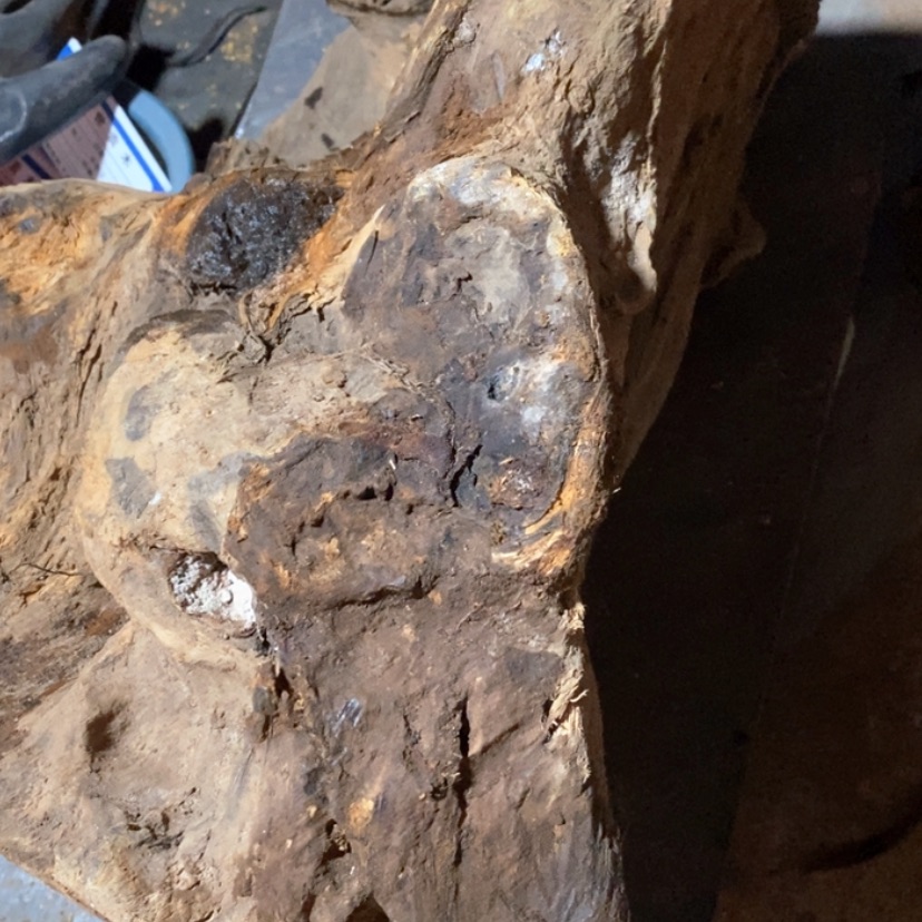 【闪购商品】把件贡木诺*私人定制